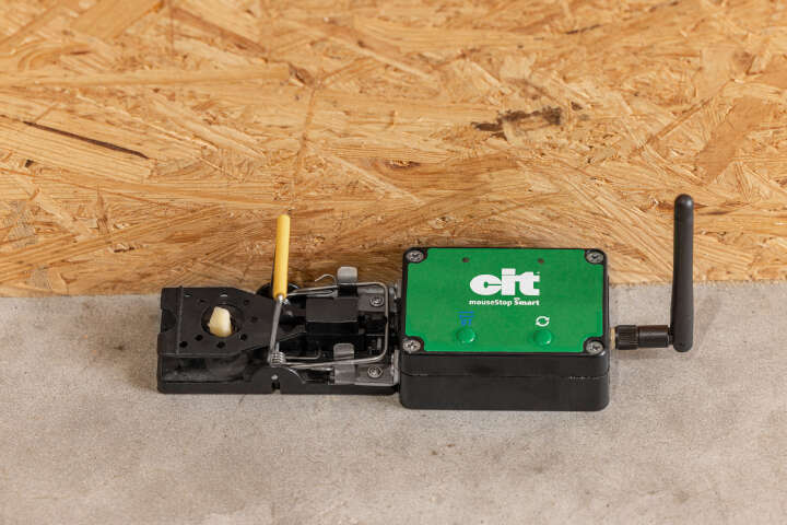 cit mouseStop Smart